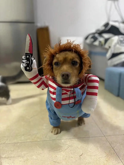 Funny Dog Costume for Small / Medium Dogs and Cats