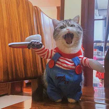 Funny Dog Costume for Small / Medium Dogs and Cats