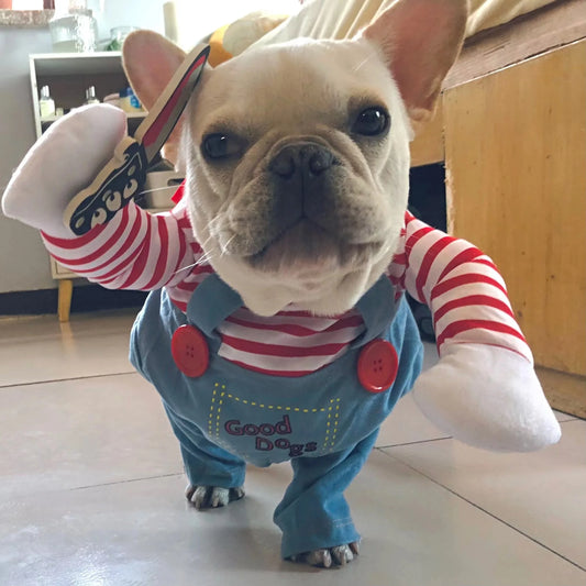 Funny Dog Costume for Small / Medium Dogs and Cats