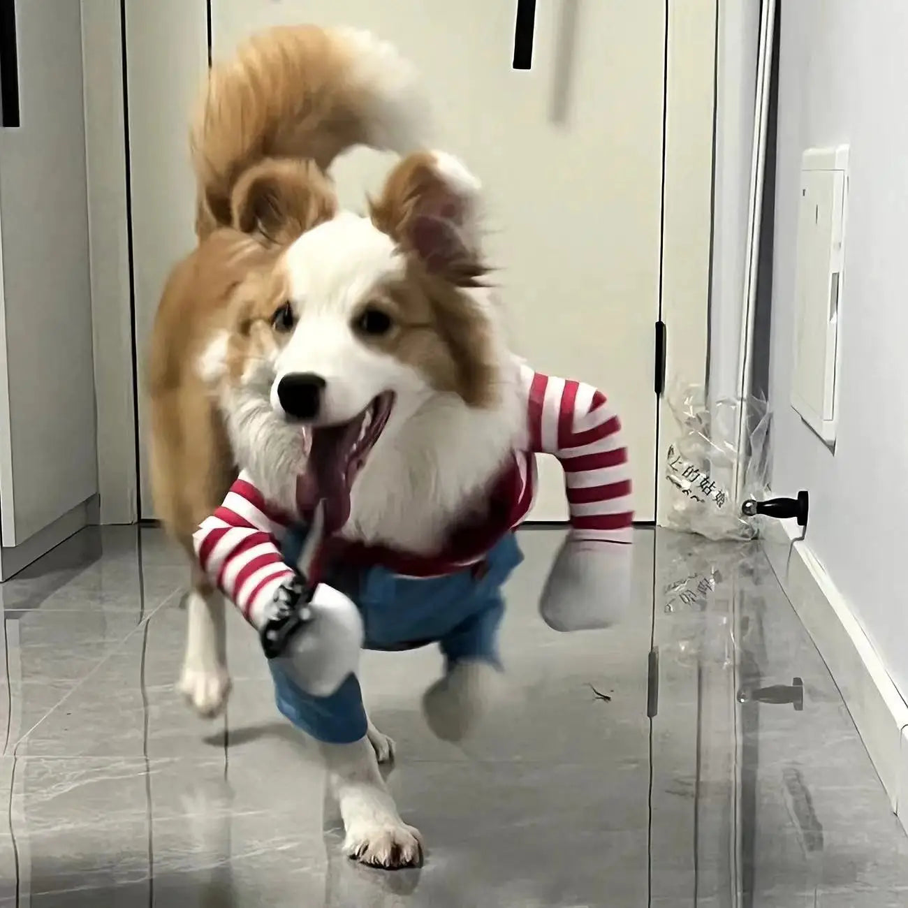 Funny Dog Costume for Small / Medium Dogs and Cats