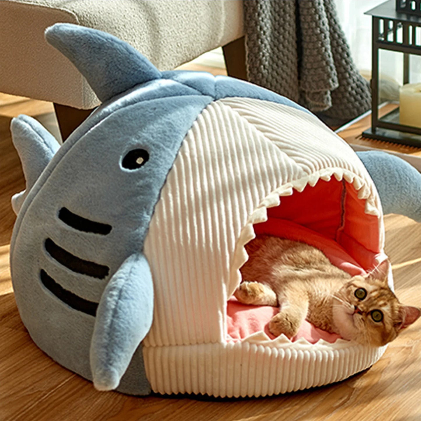 Shark Pet Bed